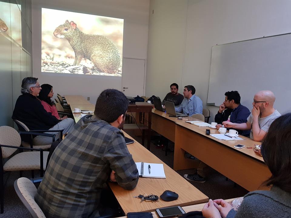 35943778_2113505302229729_6310270692650647552_n