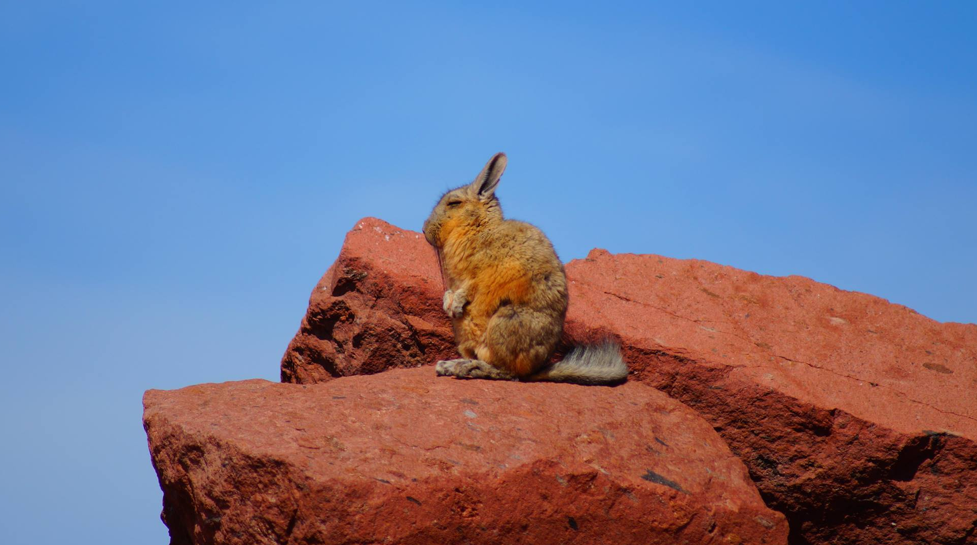 23847381_1999252090321718_3437371154954507263_o