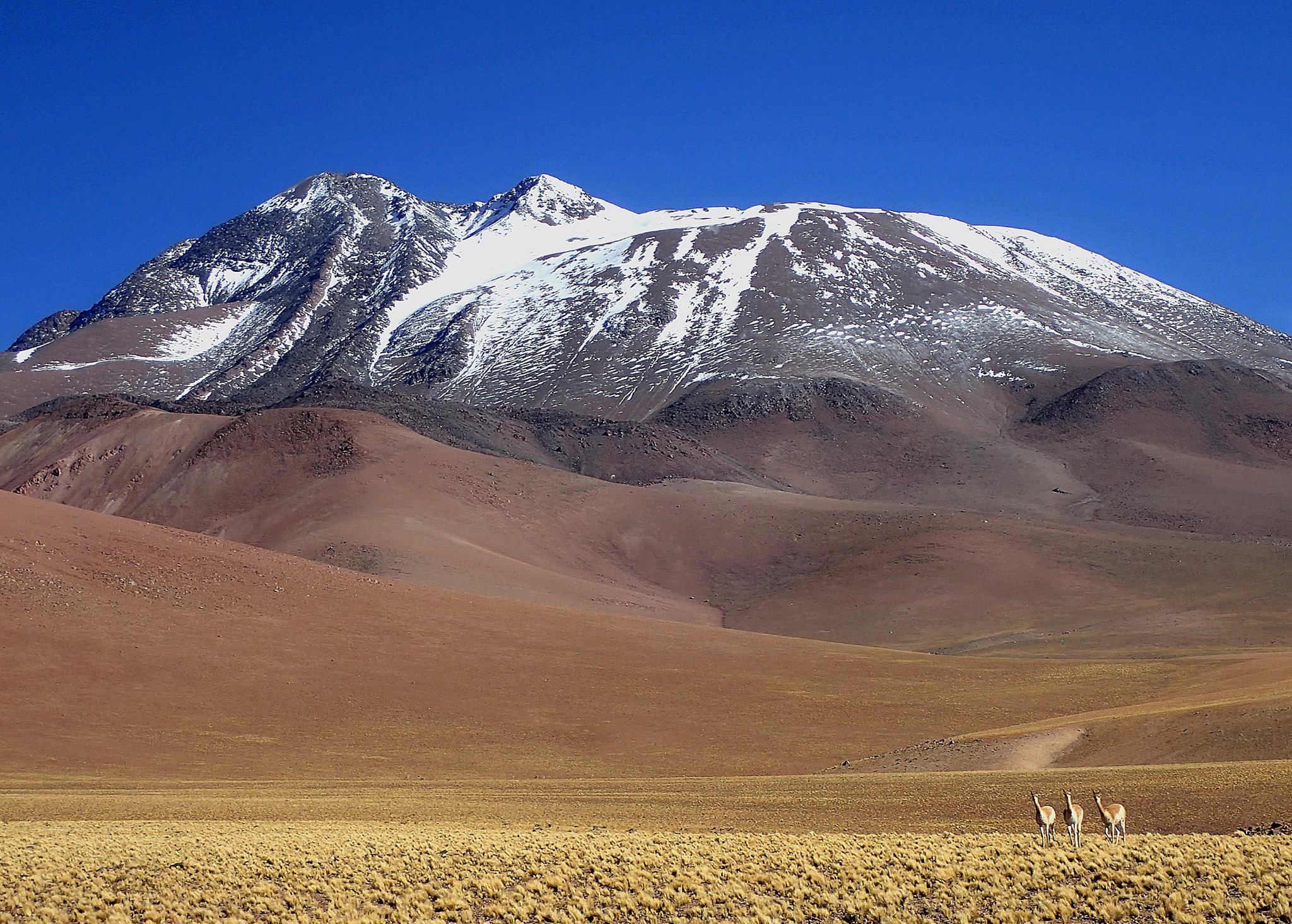 89462420_2634618203435083_5149988730789953536_o