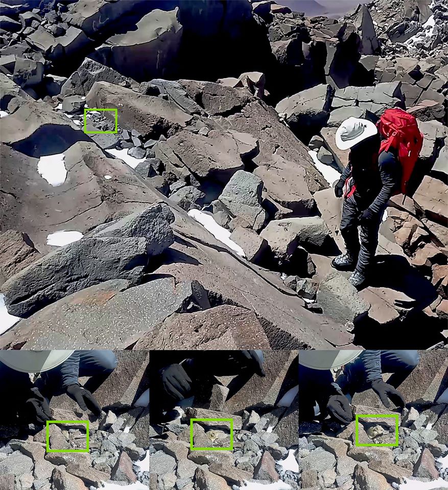 89847381_2634678156762421_6522544301589659648_o