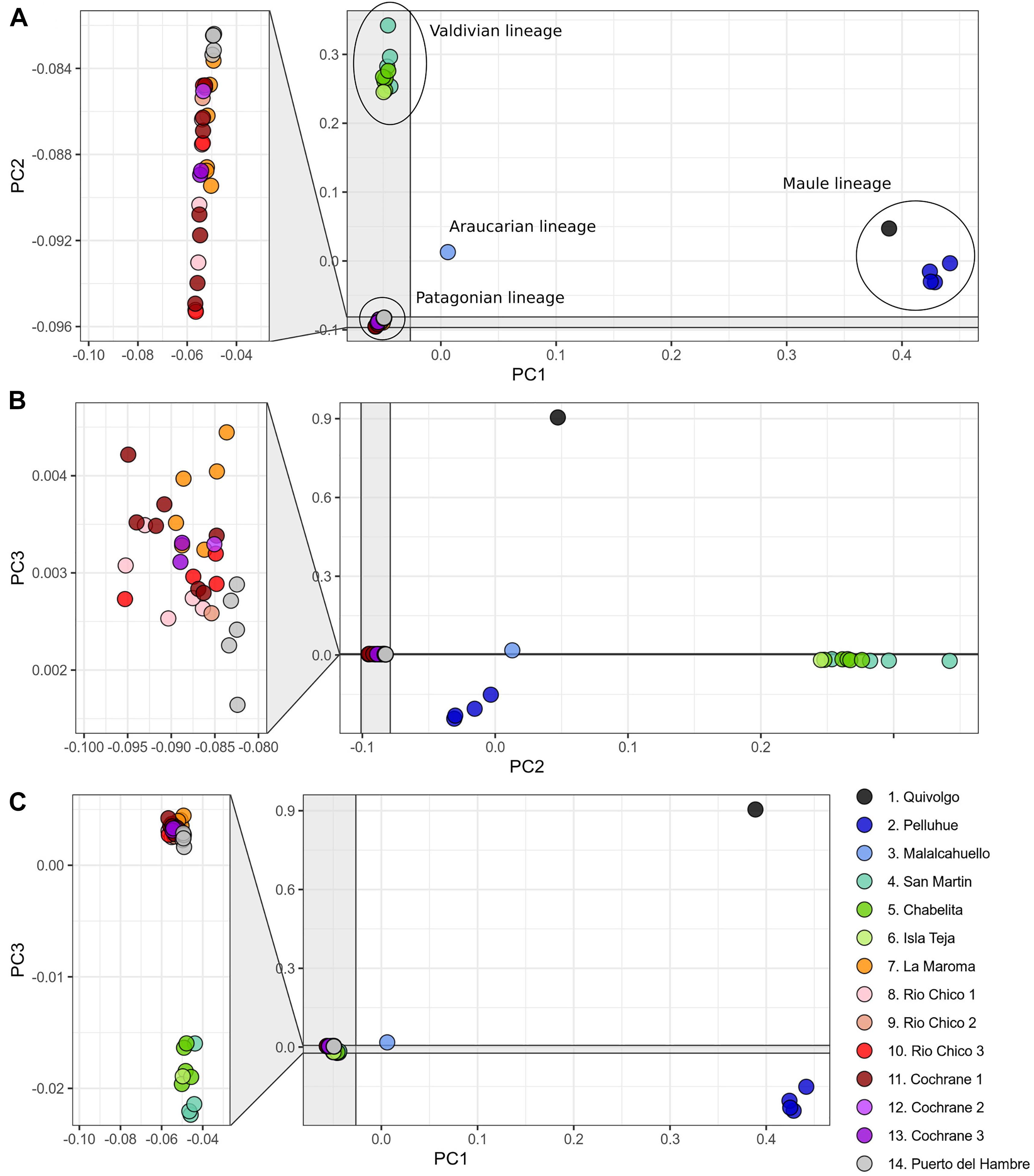 fgene-12-642504-g003