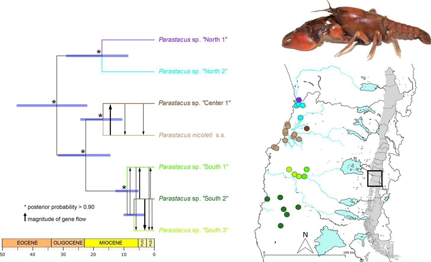 1-s2.0-S1055790322000562-ga1_lrg